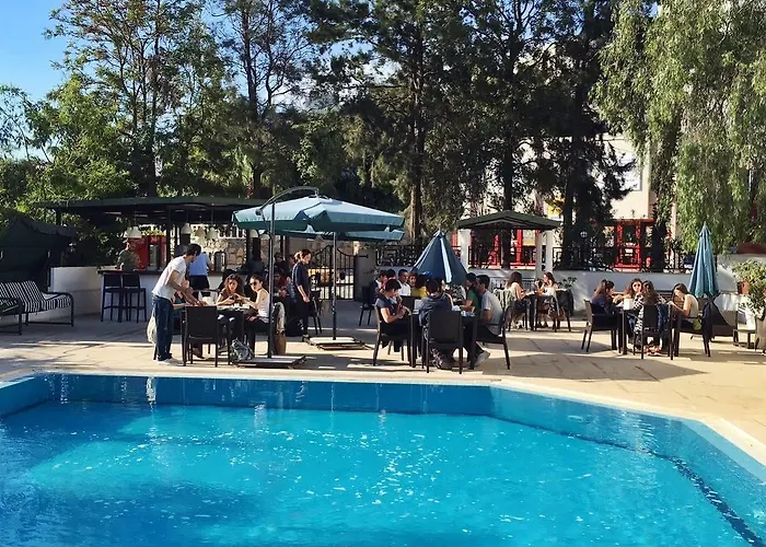 Le Chance & Бодрум