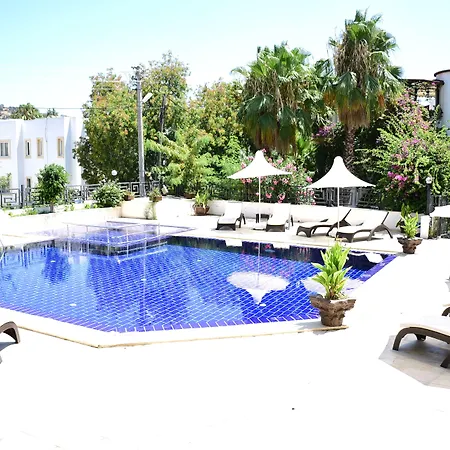 Le Chance & Bodrum